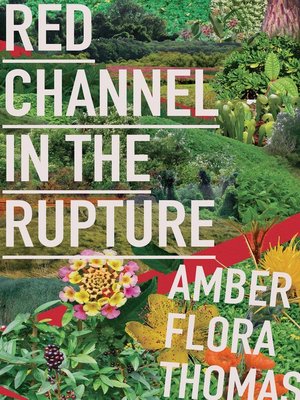 cover image of Red Channel in the Rupture